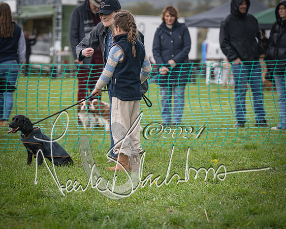 Bicester - Dog Show (7 of 106)