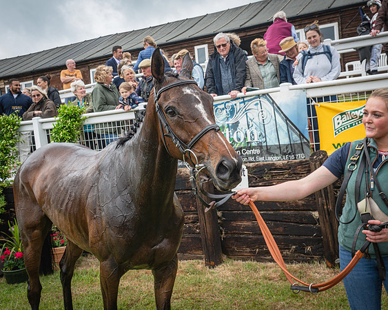 Race 6 - 2M4F Maiden (72 of 85)