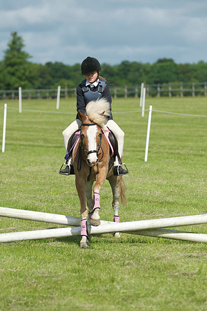 SOHS PC Summer Show at BCA 17th June 2012