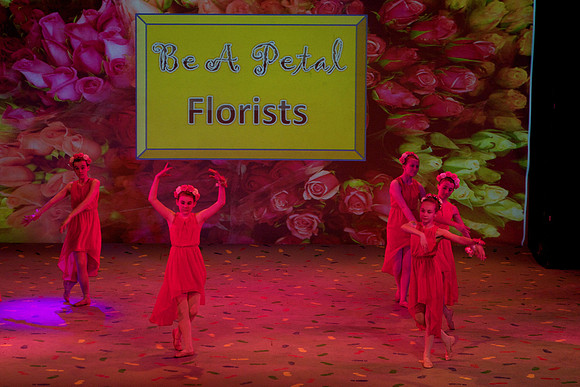 Rose Petals 5