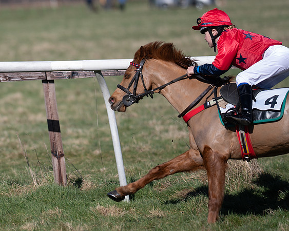 Pony Races (107 of 112)