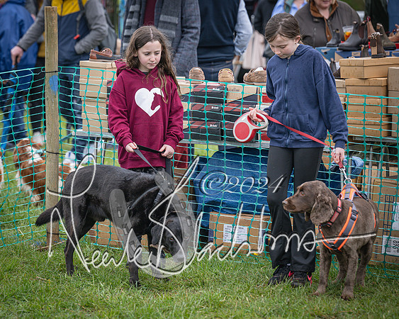 Bicester - Dog Show (32 of 106)