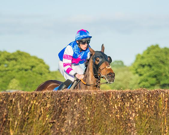 Race 5 - White Swan Hotel Handicap (37 of 80)