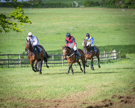 Race 7 - Walnut Hill PPORA club members maiden (31 of 104)