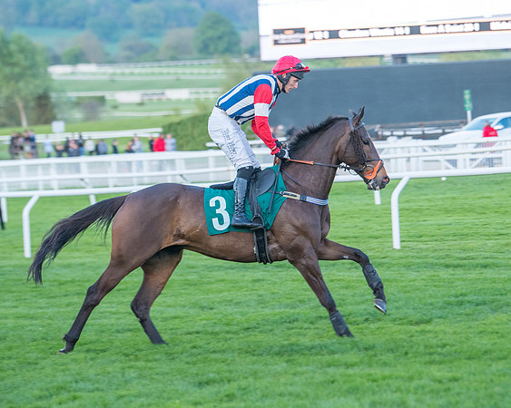 Race 7 - Glos Hussars  (91 of 245)