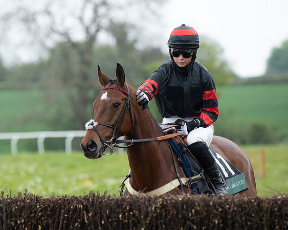 Race 2 - Jockey Club ROR veteran Horse (12 of 104)