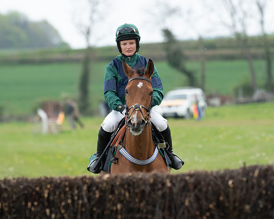 Race 2 - Jockey Club ROR veteran Horse (14 of 104)