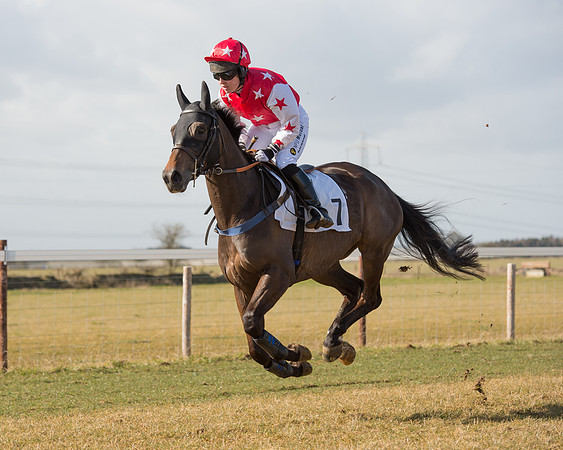 Race 1 - 4-5-6 Maiden (54 of 119).jpg