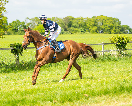 Race 4 - Ladies Open  (12 of 79)