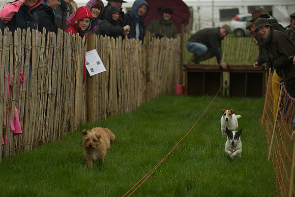 1 -Terrier Races 3