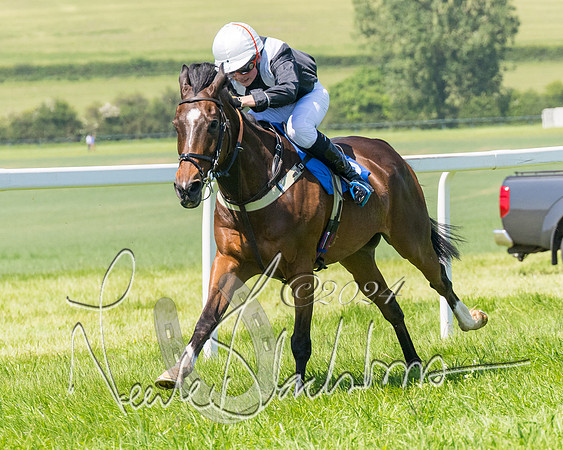 Pony Races  (99 of 141)