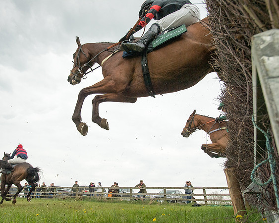 Race 2 - Jockey Club ROR veteran Horse (42 of 104)