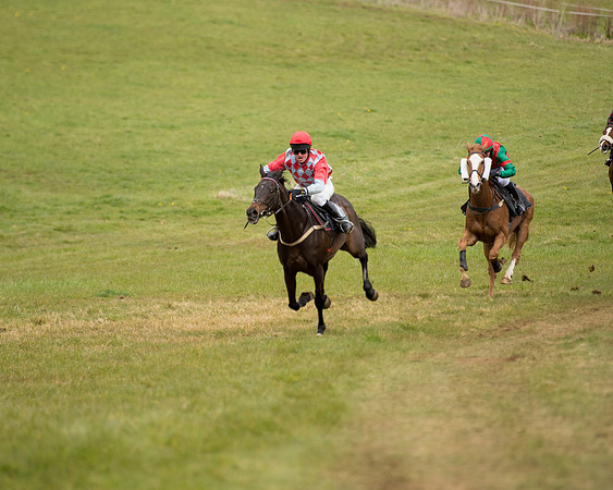 Race 3 - Owner Trainer conditions (77 of 132)