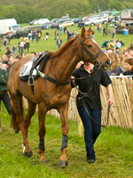 Old Berks at Lockinge Open Maiden