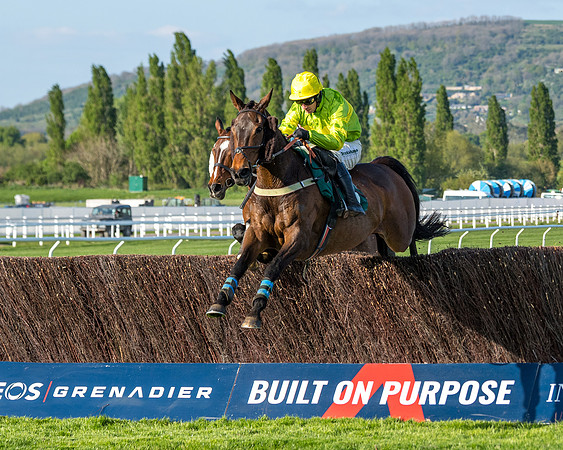 Race 3 - KTDA Hunters' Steeple Chase  (148 of 226)