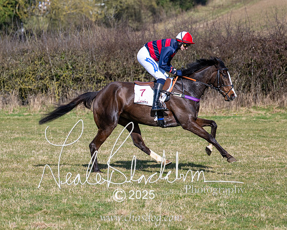 Race 1 - Maiden (63 of 188)