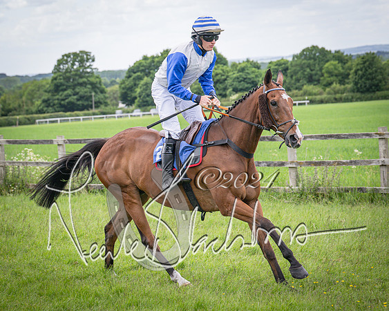 Race 2 - PPORA Members conditions race for Novice riders (34 of 127)