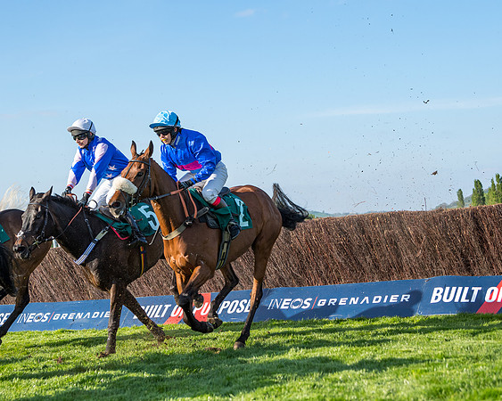 Race 3 - KTDA Hunters' Steeple Chase  (141 of 226)