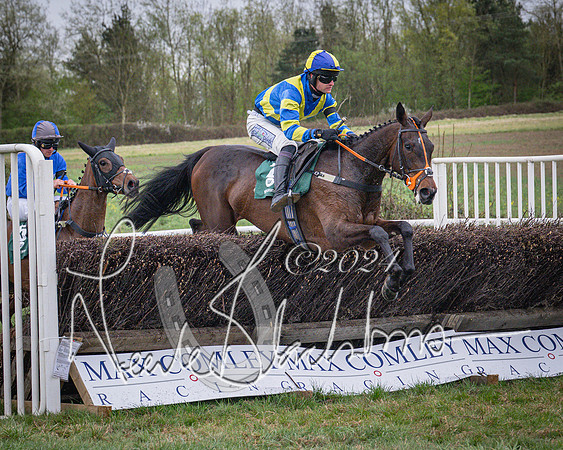 Race 7 - The Jockey Club maiden race for Mares and Fillies only (70 of 96)