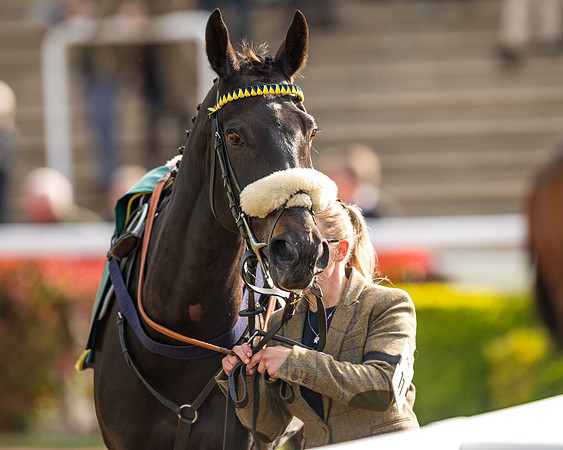 Race 2  -  Intermediate Point to Point Hunters' Steeple Chase (23 of 277)