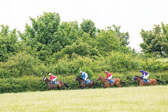 Race 5 - Restricted  (63 of 136)