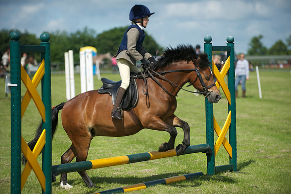 SOHS PC Summer Show at BCA 17th June 2012
