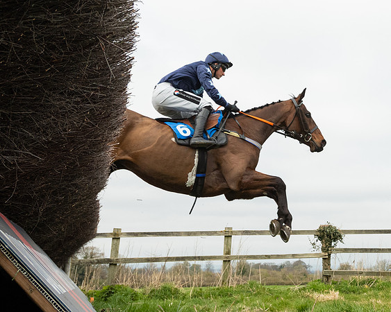 Race 2 - Veteran Horse (65 of 153)
