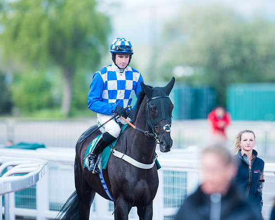 Race 1 - The open Hunter chase  (43 of 95)