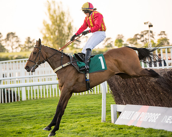 Race 5 - ITM Mares'  (81 of 181)