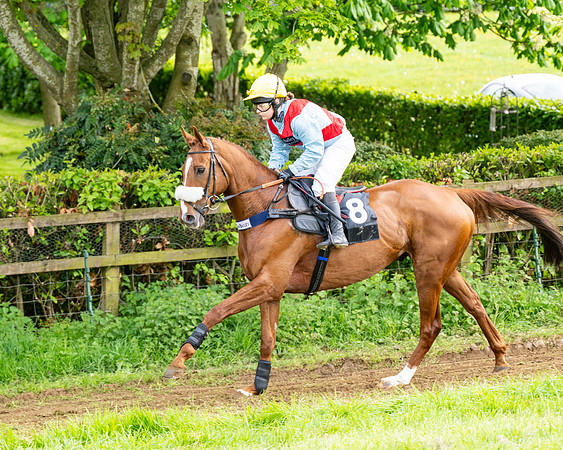 Race 5  - Novice riders (15 of 188)