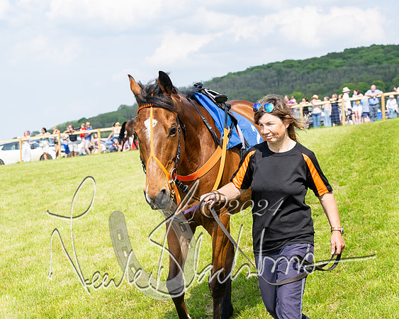 Race 3 - Ladies Open  (5 of 133)