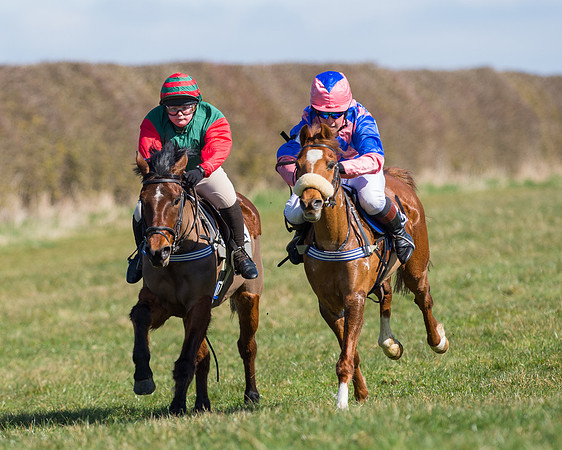 Oakley Ponies (45 of 96).jpg