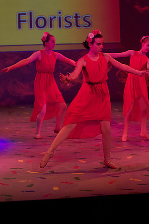 Rose Petals 31