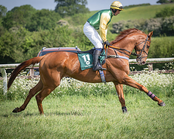 Race 5 - Restricted (35 of 116)