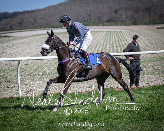 Race 2 - The Maiden (40 of 118)
