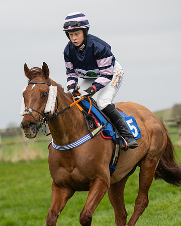 Race 2 - Veteran Horse (6 of 153)