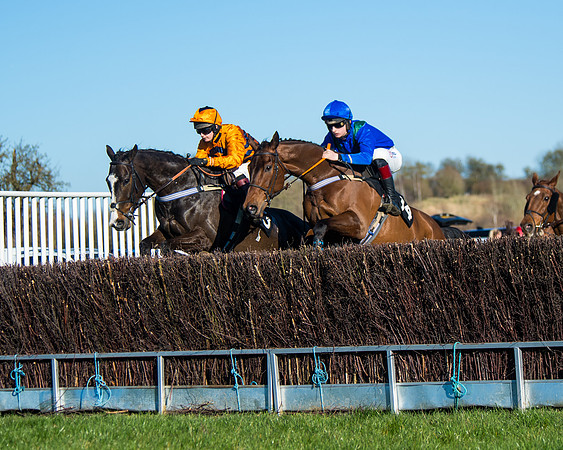 Race 6 - Restricted  (83 of 291)