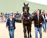 Race 2 - 2M4F Conditions (19 of 195)