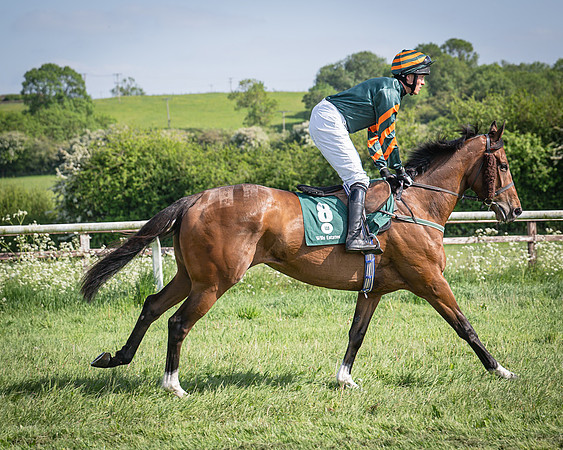 Race 5 - Restricted (31 of 116)
