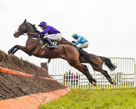 Race 6 - 6 year old and over Maiden 2m4f (10 of 62)