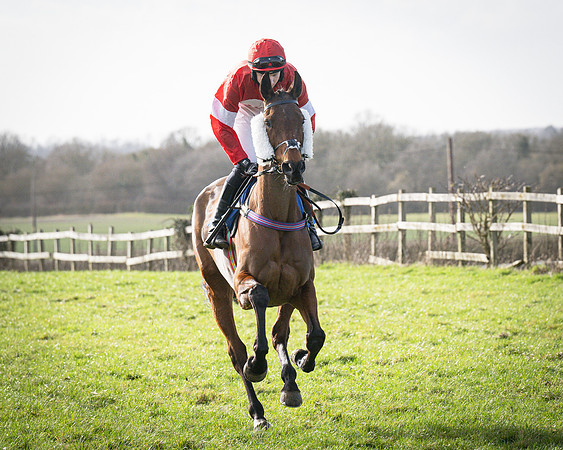Race 5 - Home counties Grand National (36 of 194)