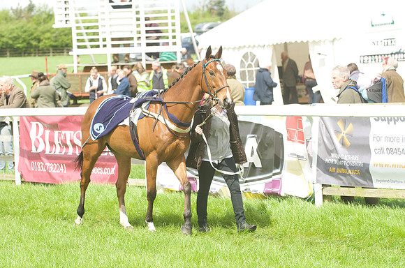 Pony Race - 3    4
