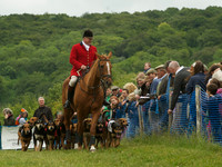 Hound Race -  1