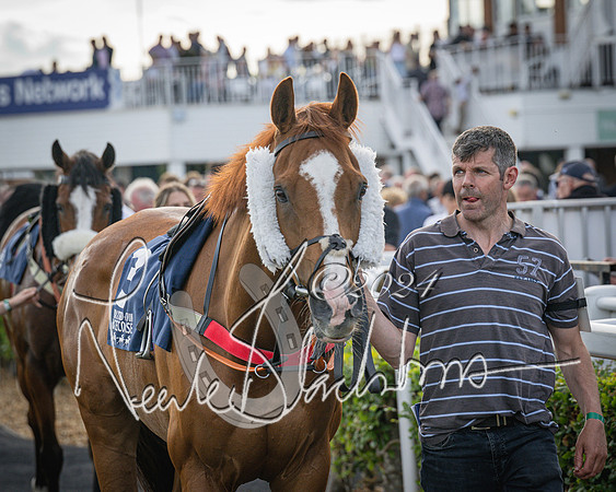 Race 3 - The pointtopoint.co.uk champion novices’ Hunter Chase (18 of 140)