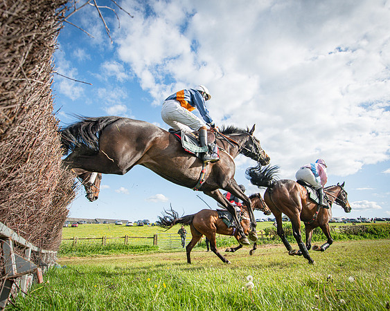 Race 7 - Walnut Hill PPORA club members maiden (22 of 104)
