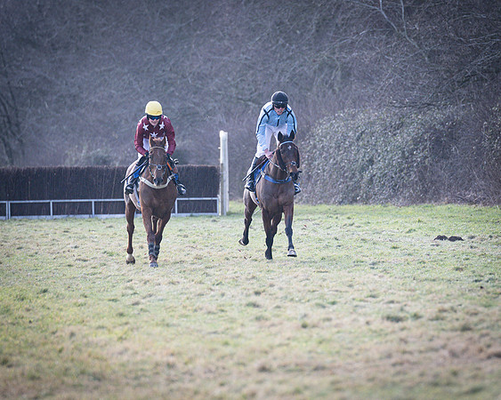 Race 6 - PPORA Novice Riders (25 of 95)