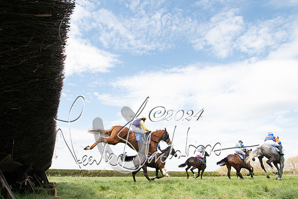 Race 2 - The Elliott of London maiden race (53 of 137)