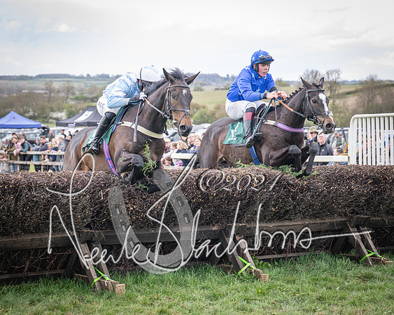 Race 2 - Tattersalls Cheltenham 4 year old Maiden (39 of 85)