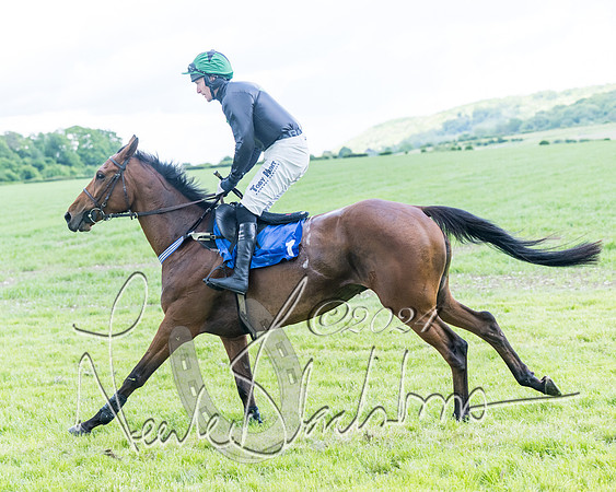 Race 3 - Conditions (92 of 367)