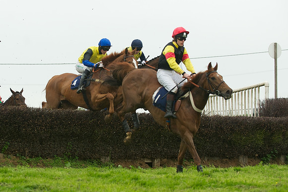 Race 6 - Maiden 33